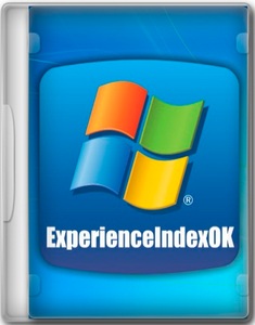 ExperienceIndexOK 4.33 Portable
